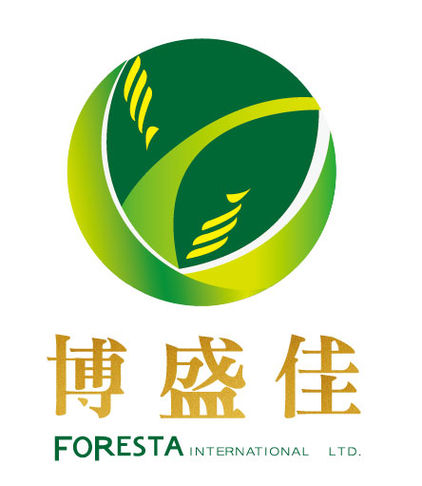 博盛佳國際有限公司 Logo
